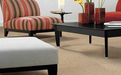 Reliable Carpet Cleaning in Allen Tx